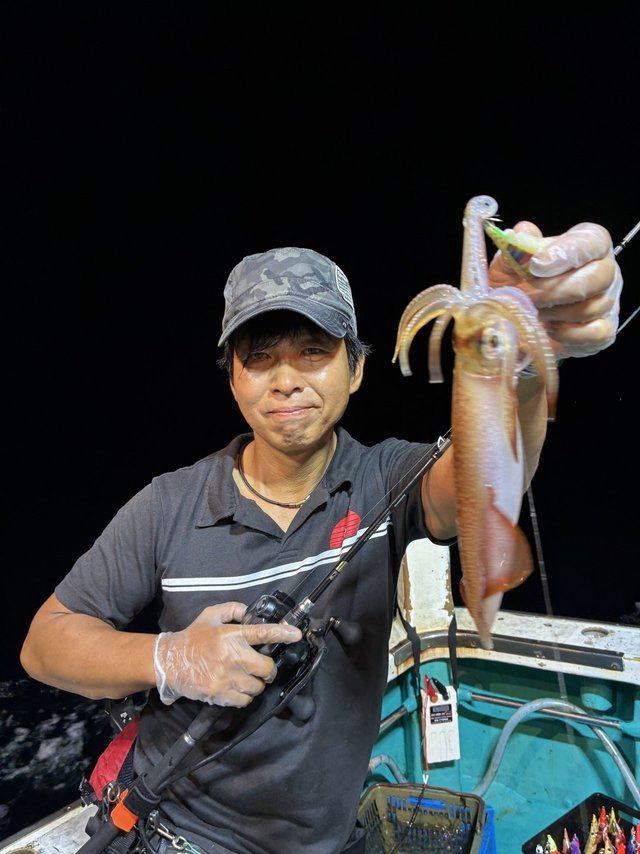 アカイカ(ケンサキイカ)