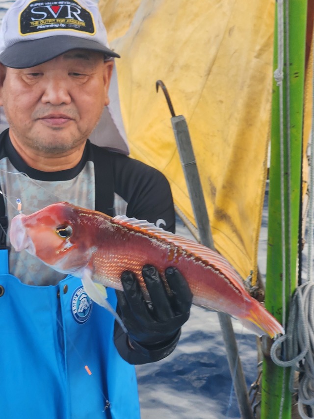 アマダイ(アカアマダイ)