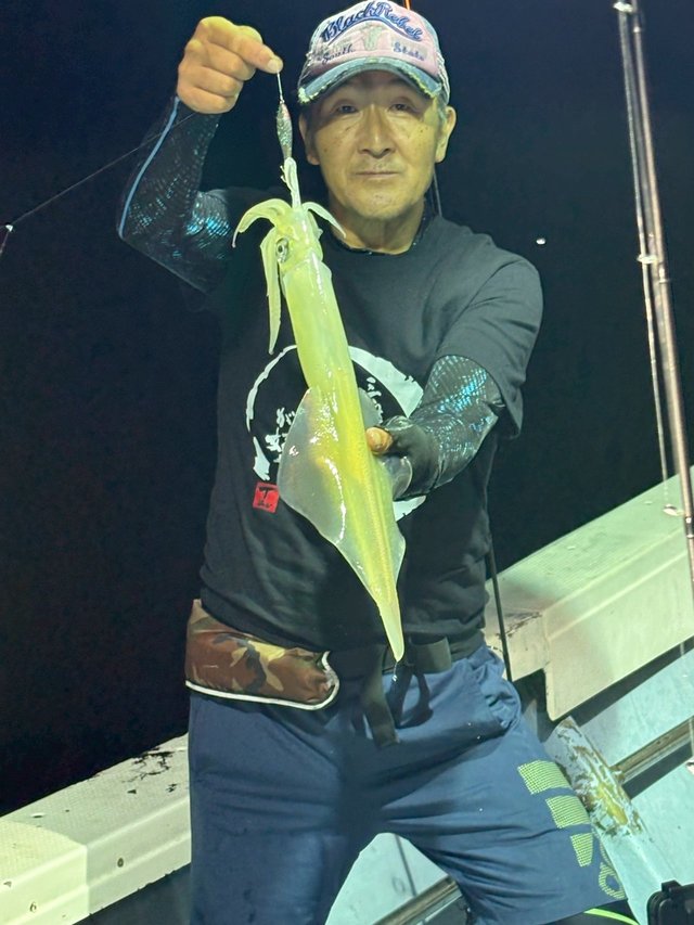 マイカ(ケンサキイカ)