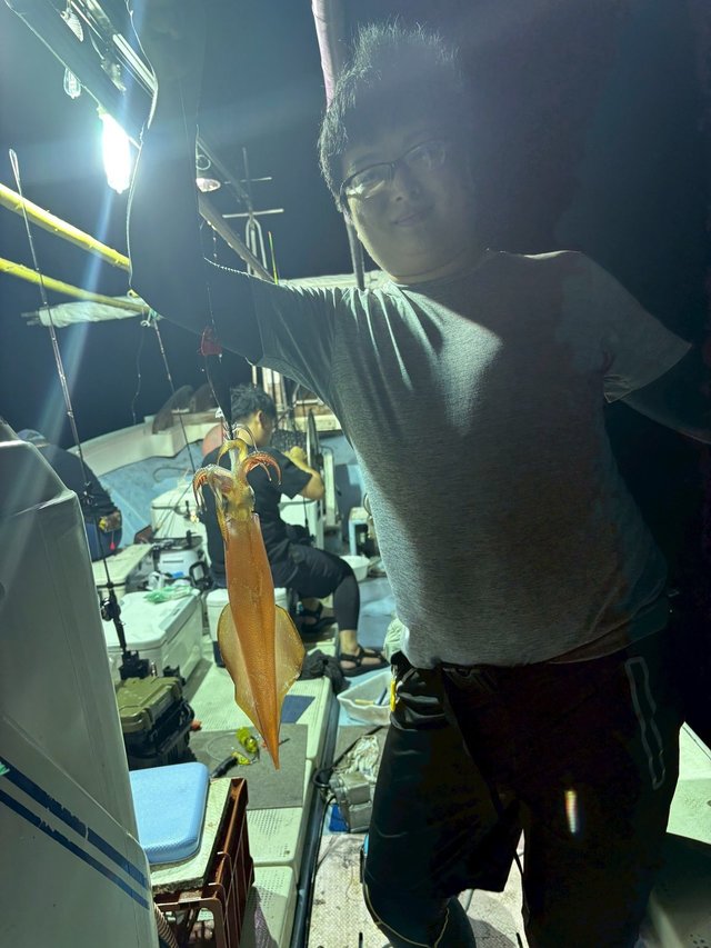 マイカ(ケンサキイカ)