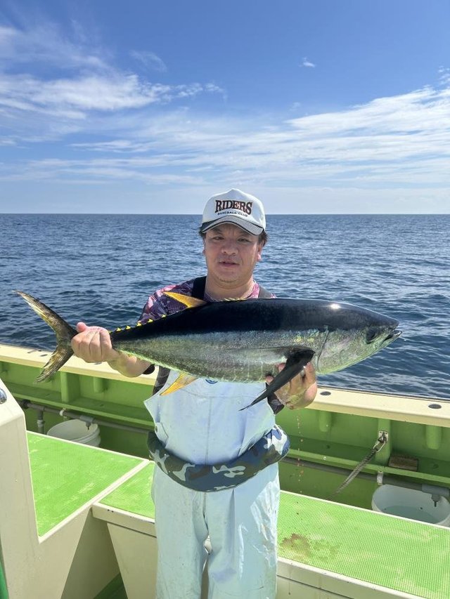 キメジ(キハダ)