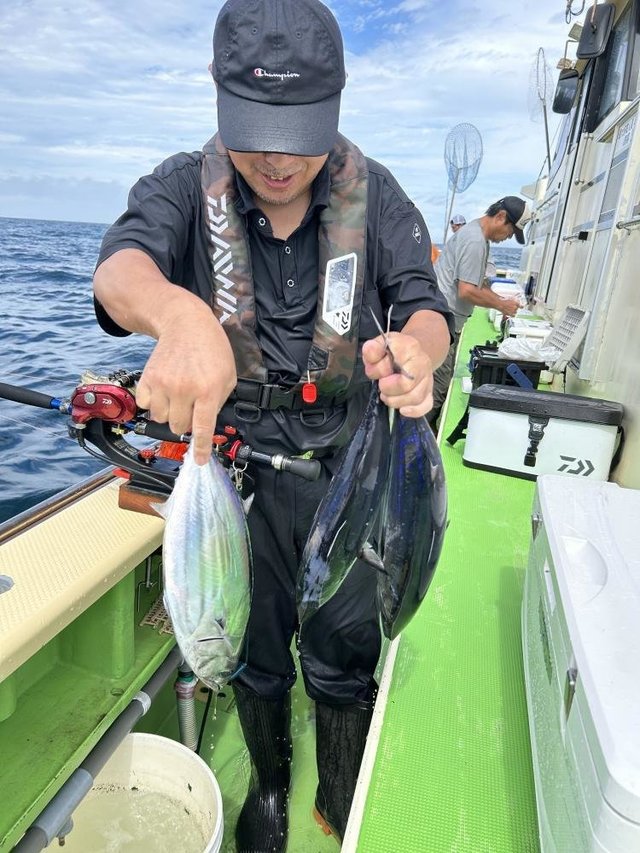 ホンガツオ(カツオ)