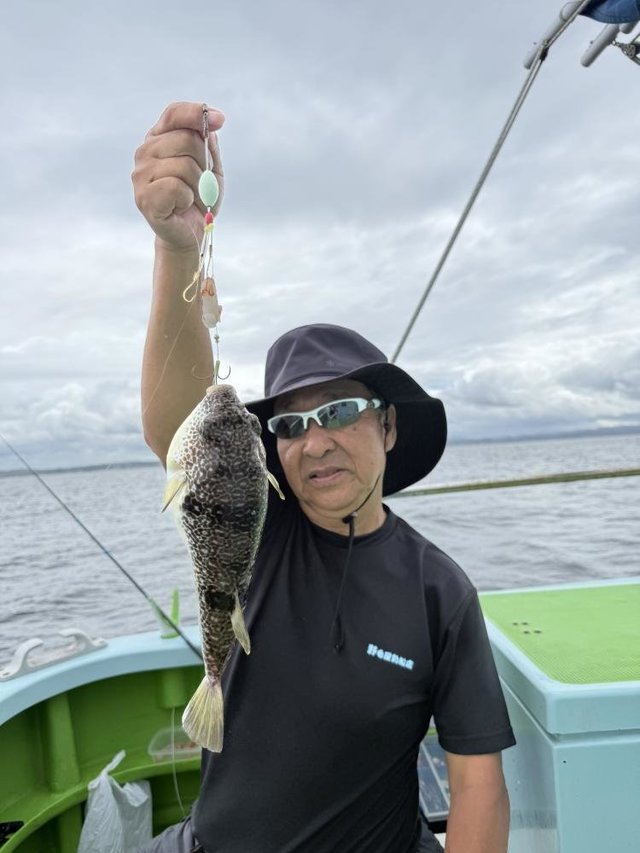 フグ(ショウサイフグ)