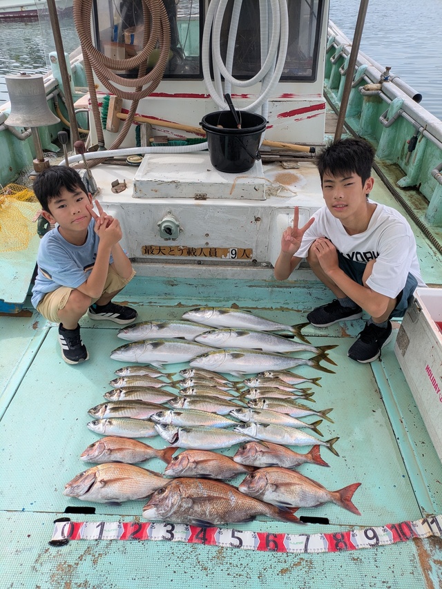 タイ(マダイ)・アジ(マアジ)・メジロ(ブリ)・マサバ