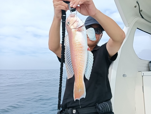 シロアマダイ