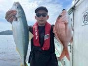 マダイ・イナダ(ブリ)