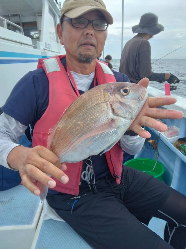 ハナダイ(チダイ)