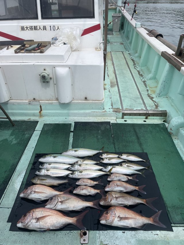 マダイ・マアジ・ツバス(ブリ)・イサキ・マサバ