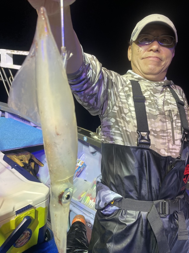 マルイカ(ケンサキイカ)