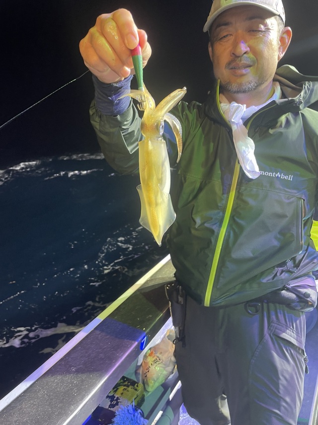 マルイカ(ケンサキイカ)