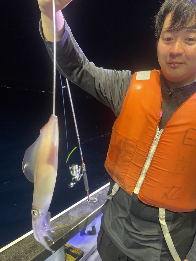 マルイカ(ケンサキイカ)