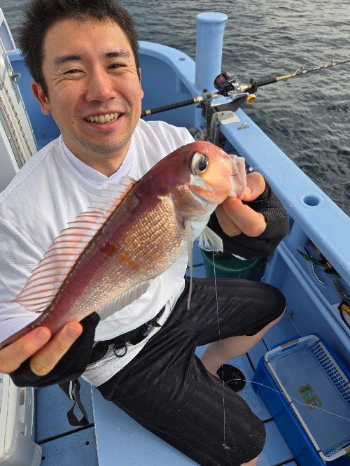 アマダイ(アカアマダイ)