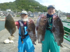 マハタ・ヒラメ