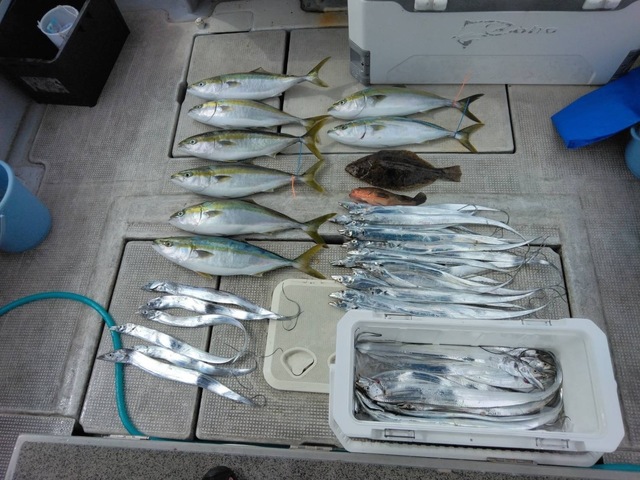 アコウ(キジハタ)・メジロ(ブリ)・タチウオ・ヒラメ