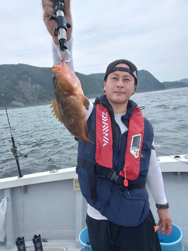 アコウ(キジハタ)