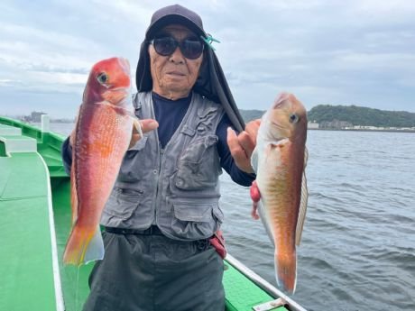 アマダイ(アカアマダイ)