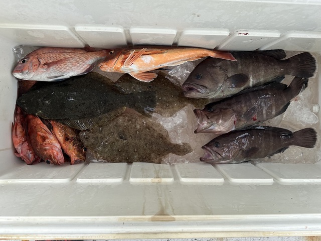 マダイ・マハタ・カサゴ・ホウボウ・ガンゾウビラメ