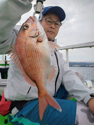 ハナダイ(チダイ)