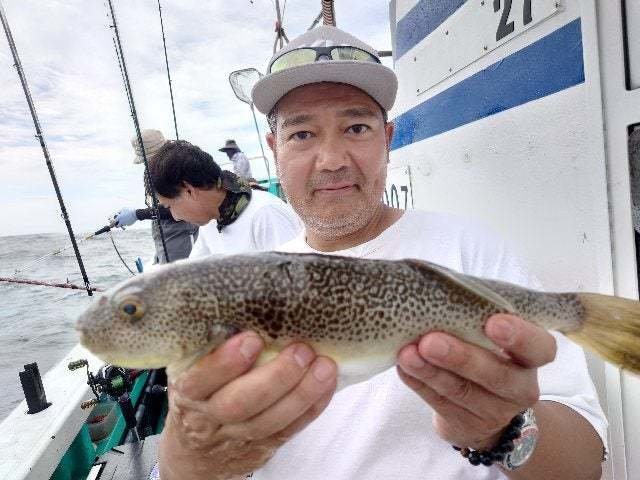 ショウサイフグ