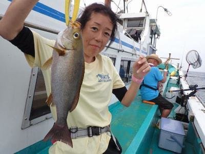 イサギ(イサキ)