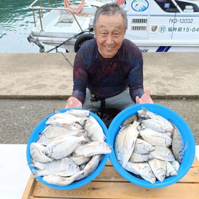 チヌ(クロダイ)