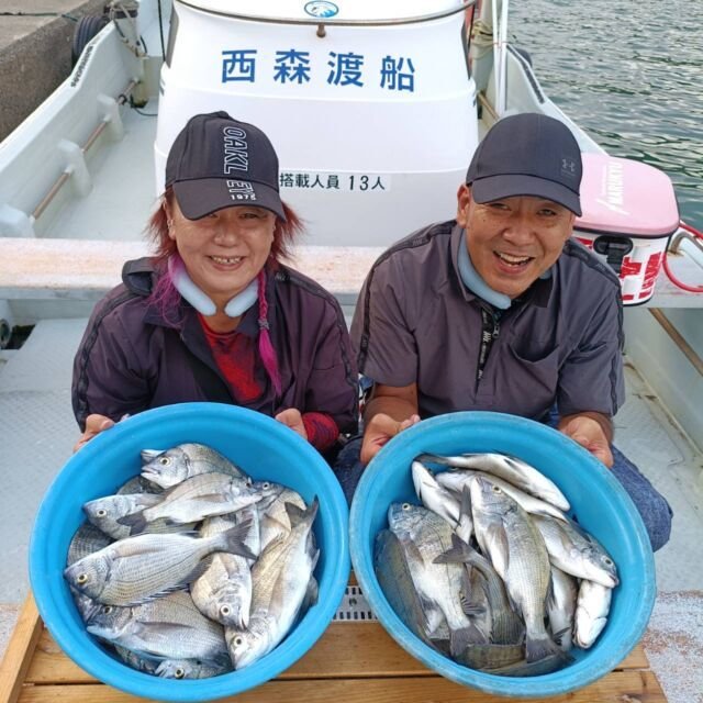 チヌ(クロダイ)