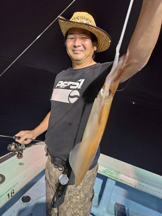 マルイカ(ケンサキイカ)