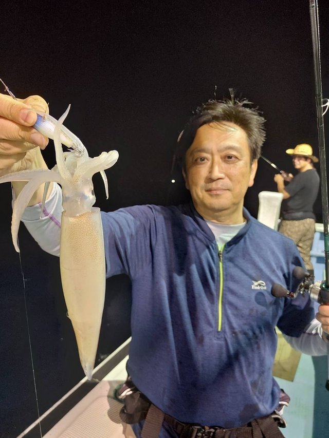 マルイカ(ケンサキイカ)