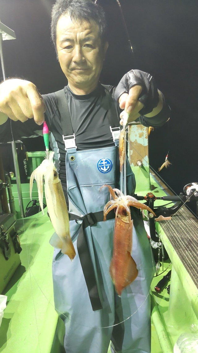 マルイカ(ケンサキイカ)