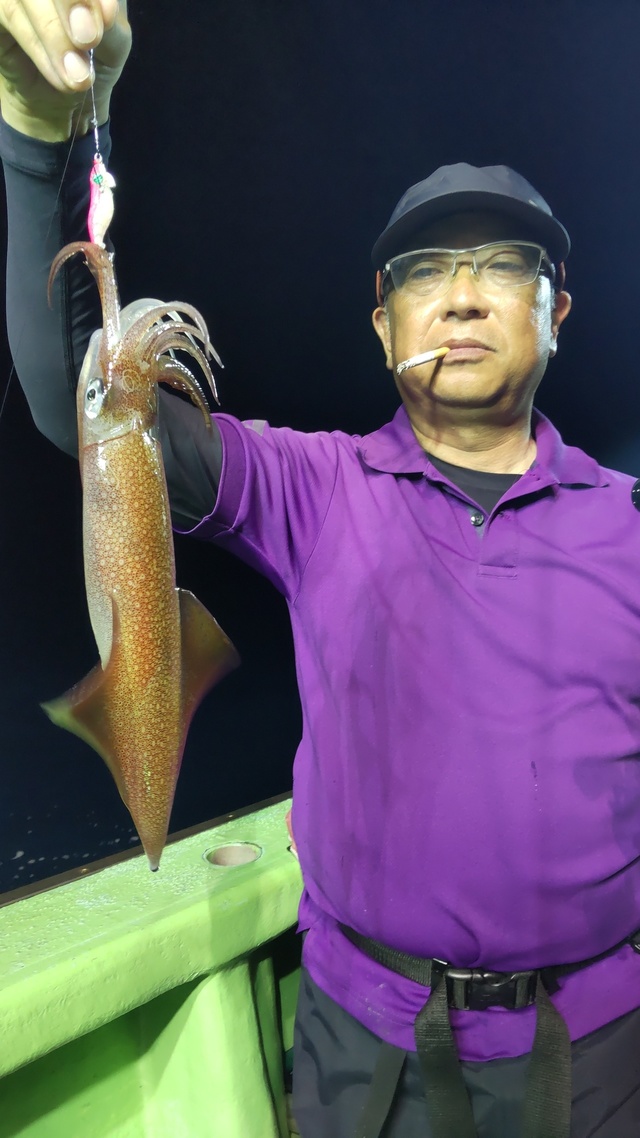 マルイカ(ケンサキイカ)