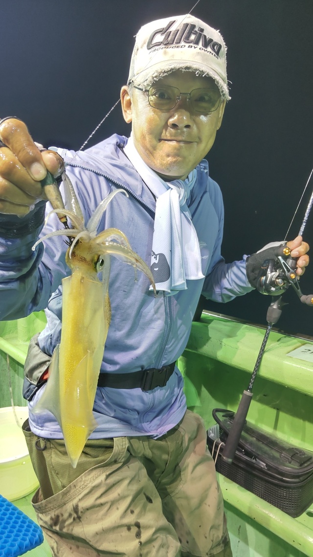 マルイカ(ケンサキイカ)