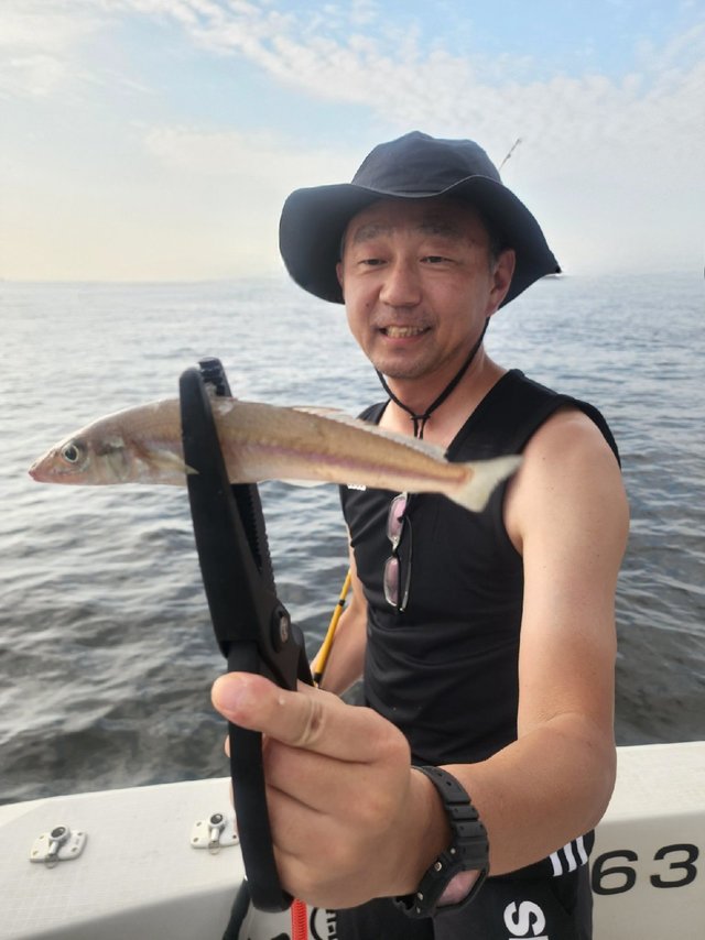 キス(シロギス)