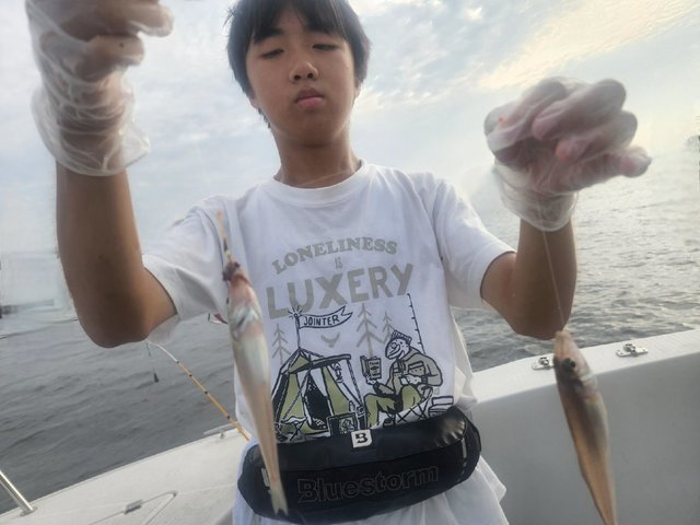 キス(シロギス)