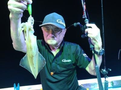 マイカ(ケンサキイカ)