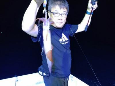 マイカ(ケンサキイカ)