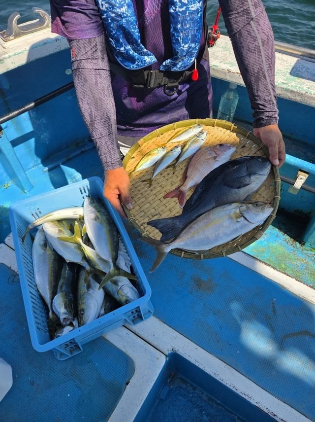 メジナ・アジ(マアジ)・イナダ(ブリ)・カンパチ