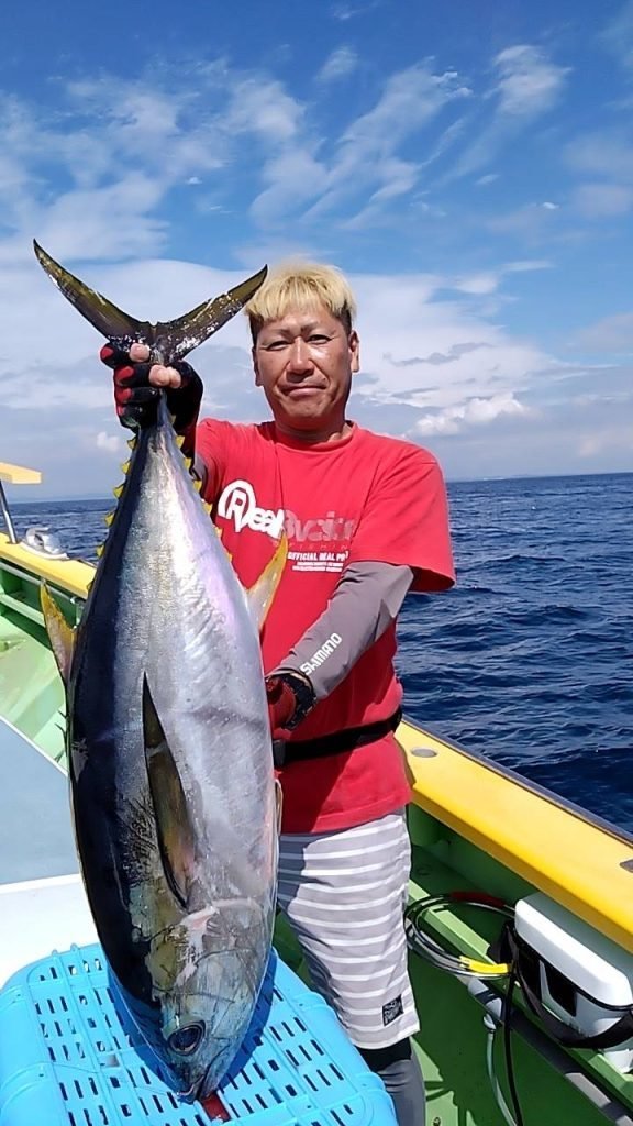 キメジ(キハダ)