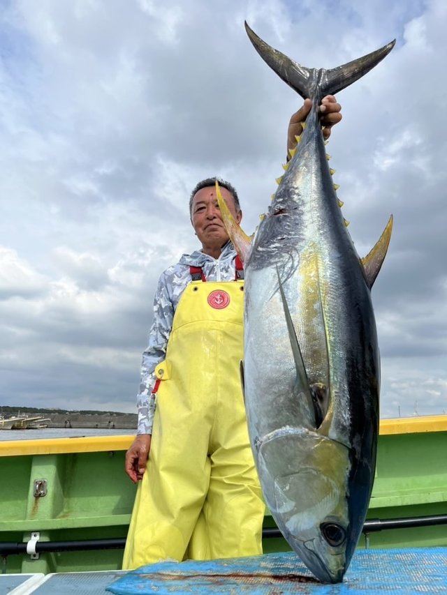 キメジ(キハダ)