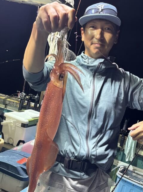 マイカ(ケンサキイカ)