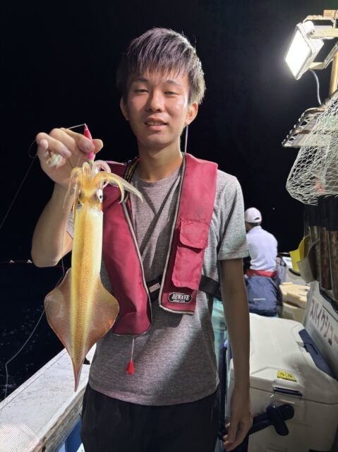 マイカ(ケンサキイカ)