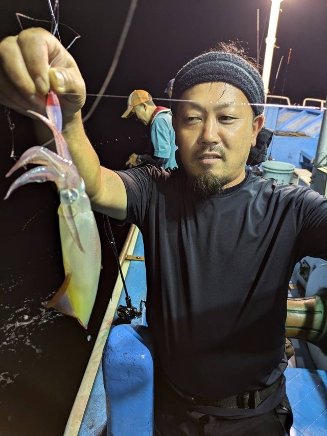 マルイカ(ケンサキイカ)