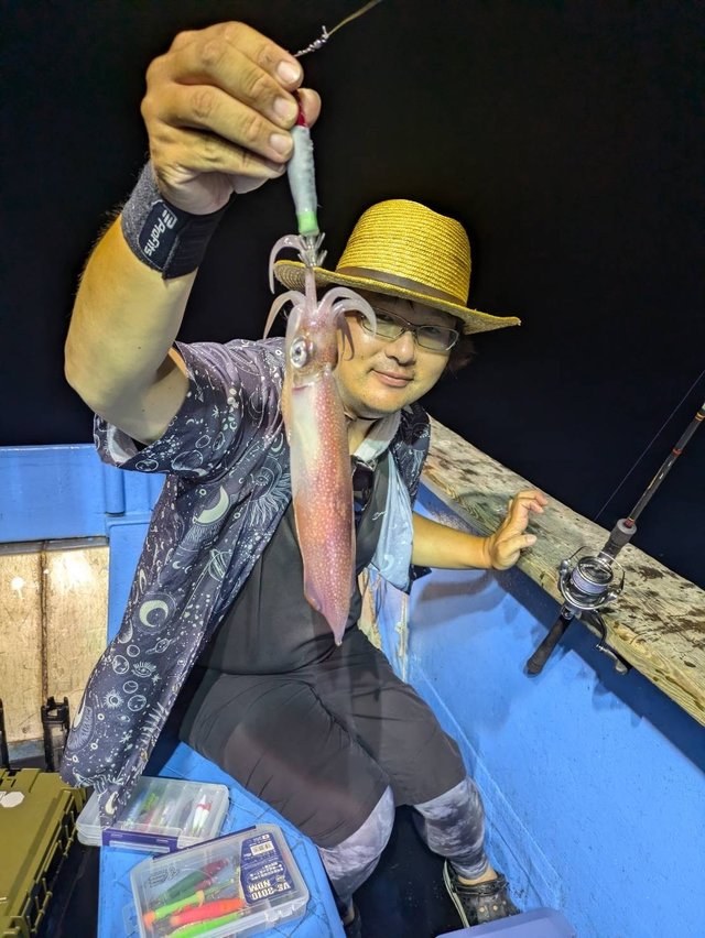 マルイカ(ケンサキイカ)