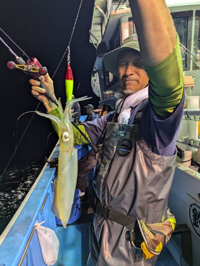 マルイカ(ケンサキイカ)