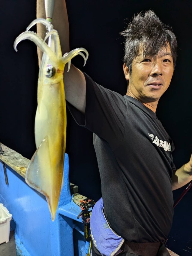 マルイカ(ケンサキイカ)