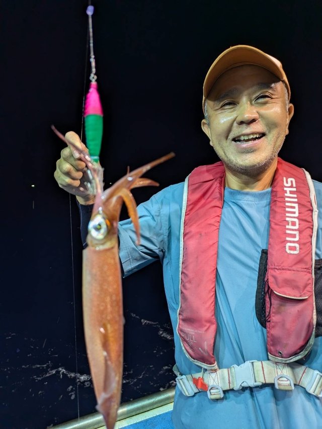 マルイカ(ケンサキイカ)