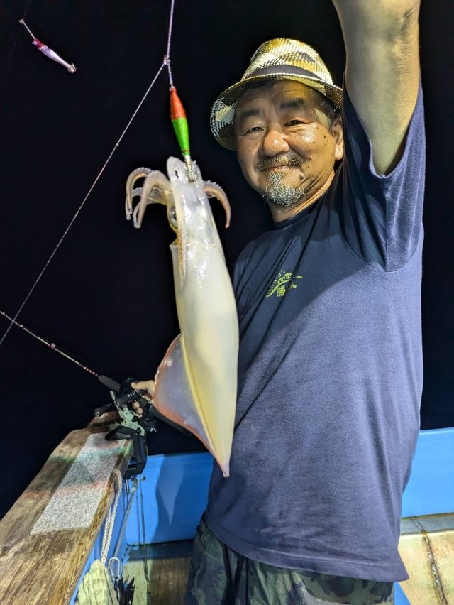 マルイカ(ケンサキイカ)