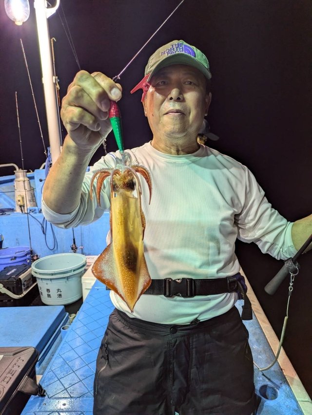 マルイカ(ケンサキイカ)