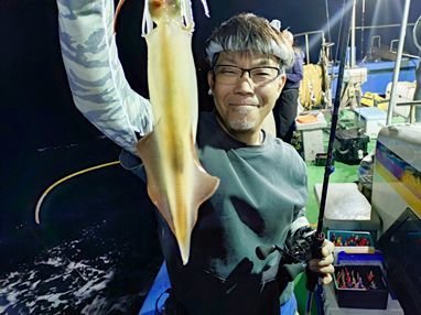 マイカ(ケンサキイカ)