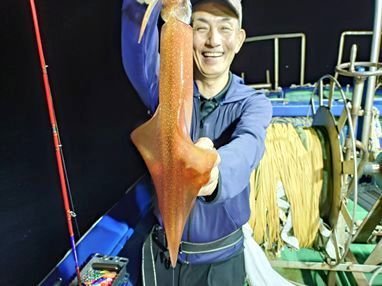 マイカ(ケンサキイカ)