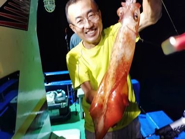 マイカ(ケンサキイカ)